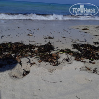 фото из отзыва ID 2003932