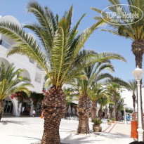 фото из отзыва ID 2003946