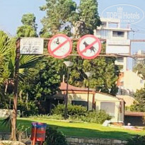 фото из отзыва ID 2003829