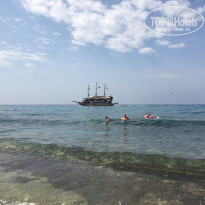 фото из отзыва ID 2003590