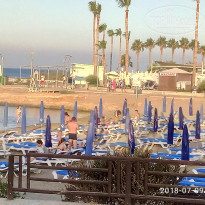 фото из отзыва ID 2004234