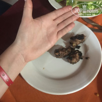 фото из отзыва ID 2004245