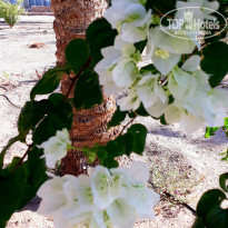 фото из отзыва ID 2004205