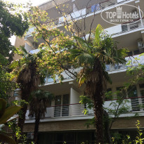 фото из отзыва ID 2004425