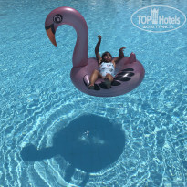 фото из отзыва ID 2002528