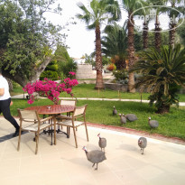 фото из отзыва ID 2004413