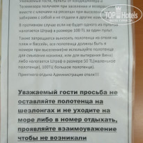 фото из отзыва ID 2004569