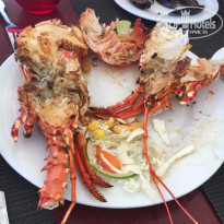 фото из отзыва ID 2003251