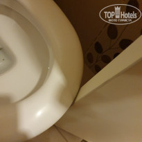 фото из отзыва ID 2004575