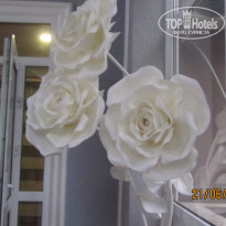 фото из отзыва ID 2004558