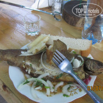 фото из отзыва ID 2004558