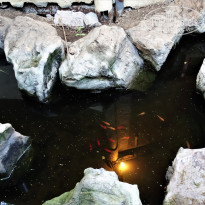 фото из отзыва ID 2004656