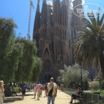 фото из отзыва ID 2004683