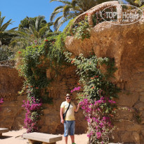 фото из отзыва ID 2004683