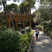 фото из отзыва ID 2004683