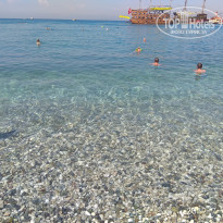 фото из отзыва ID 2004242