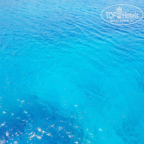 фото из отзыва ID 2004784