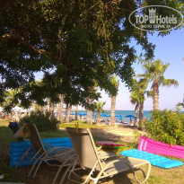 фото из отзыва ID 2004934