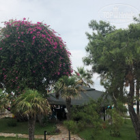 фото из отзыва ID 2004968