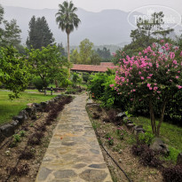 фото из отзыва ID 2004997