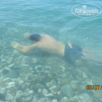 фото из отзыва ID 2004558