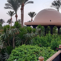 фото из отзыва ID 2005134