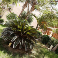 фото из отзыва ID 2005134