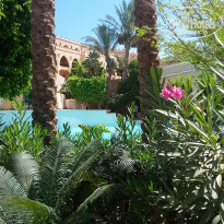 фото из отзыва ID 2005134