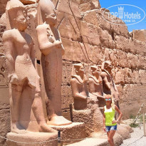 фото из отзыва ID 2005134