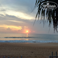 фото из отзыва ID 2005197