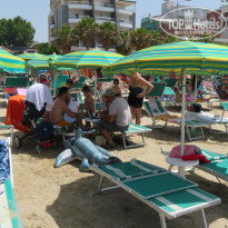 фото из отзыва ID 2005194