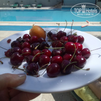 фото из отзыва ID 2005272