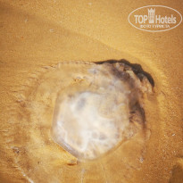 фото из отзыва ID 2005269