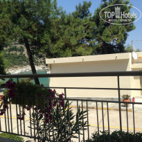 фото из отзыва ID 2005319