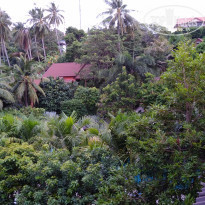 фото из отзыва ID 2005365