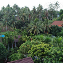 фото из отзыва ID 2005365