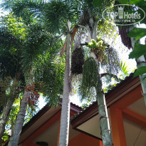 фото из отзыва ID 2005365