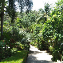 фото из отзыва ID 2005365