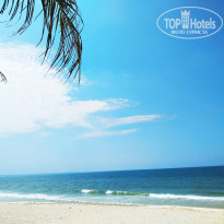 фото из отзыва ID 2005401