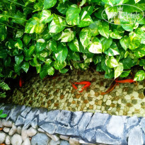 фото из отзыва ID 2005401