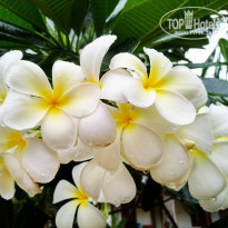 фото из отзыва ID 2005401