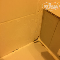 фото из отзыва ID 2005422