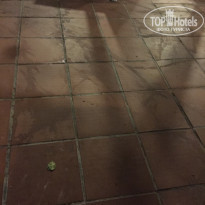 фото из отзыва ID 2005422