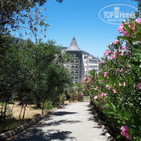 фото из отзыва ID 2005490