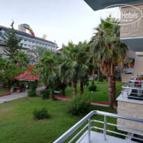 фото из отзыва ID 2005566