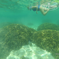 фото из отзыва ID 2005651