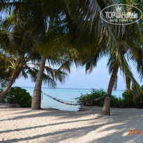 фото из отзыва ID 2005651