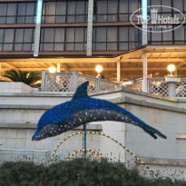 фото из отзыва ID 2005676