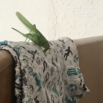 фото из отзыва ID 2004987