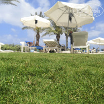 фото из отзыва ID 2002397